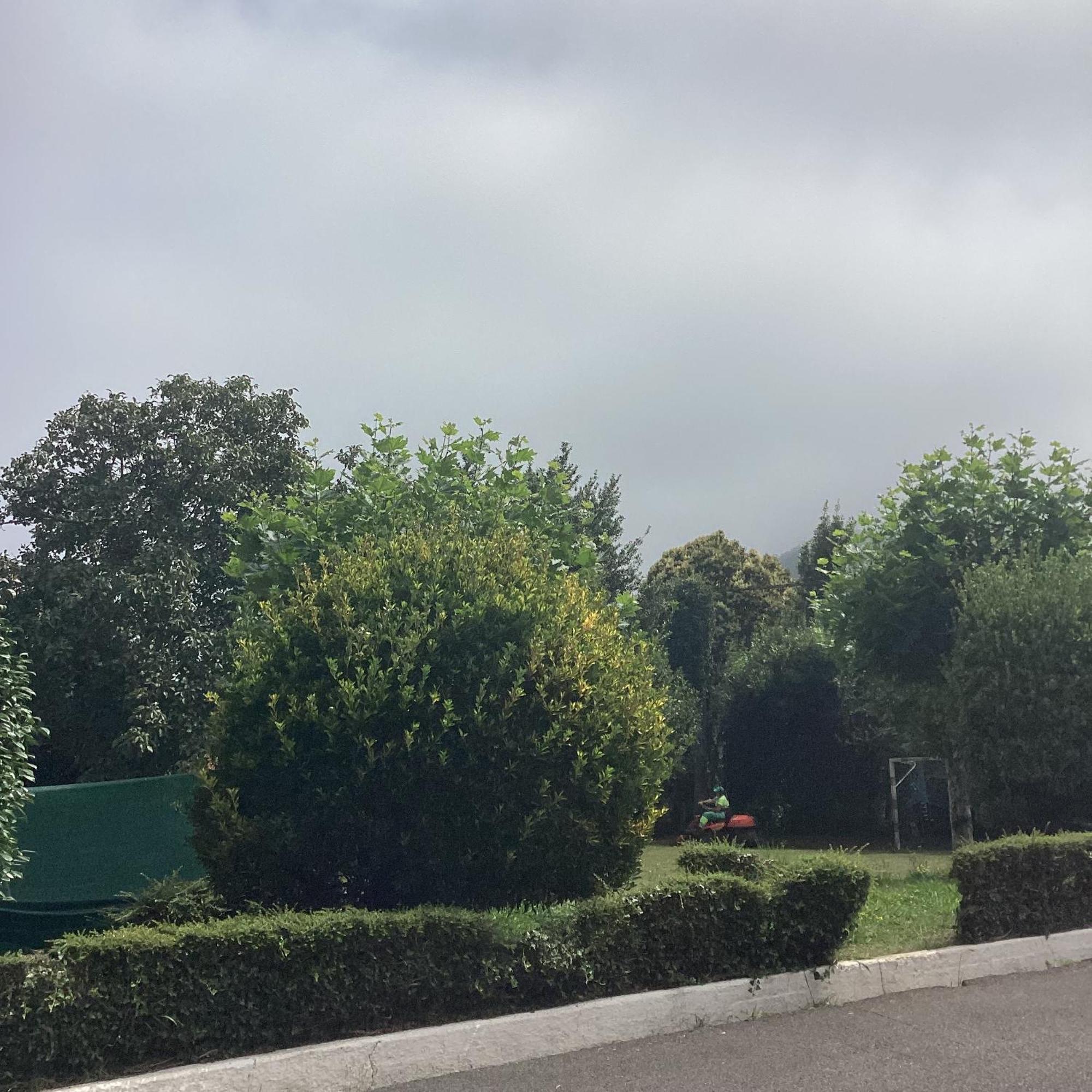 Villa Corias Casona Junto Al Narcea Exterior foto
